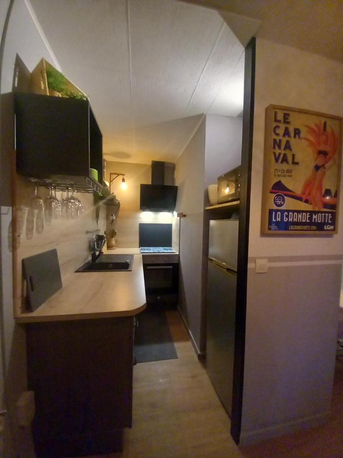 Rose Cote Mer Studio Et Garage, Entree Autonome Apartment La Grande Motte Bagian luar foto